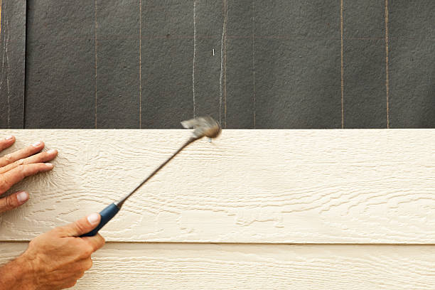 Best Siding Painting and Refinishing  in Salt Creek Commons, IN